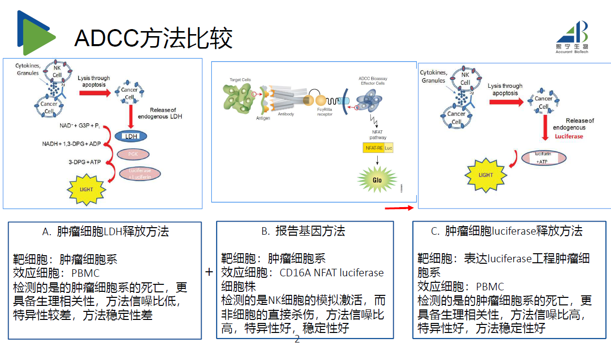 图片29.png