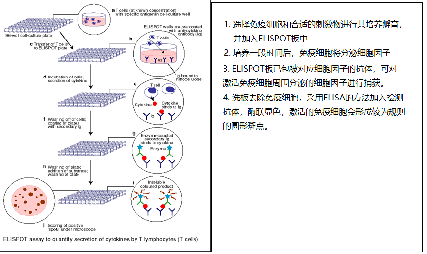 图片40.png
