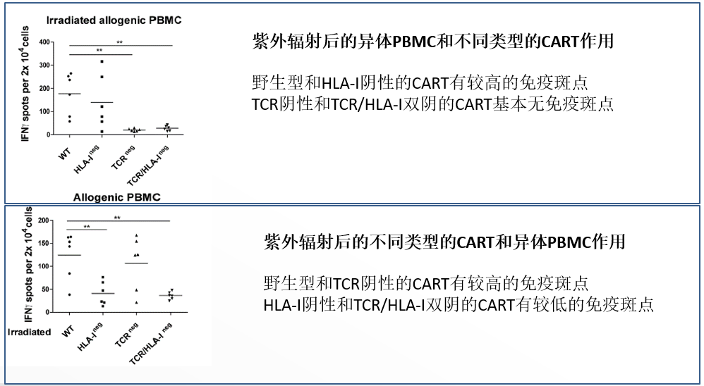 图片46.png