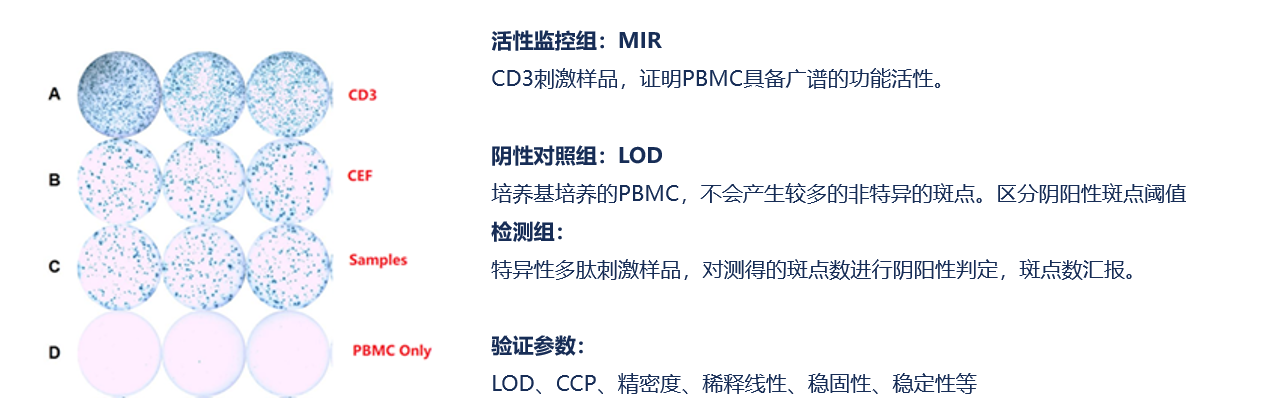 图片49.png